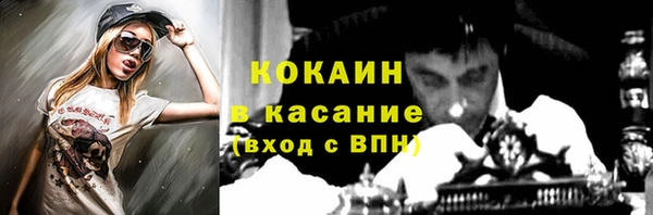 хмурый Осинники