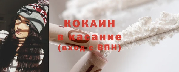 хмурый Осинники