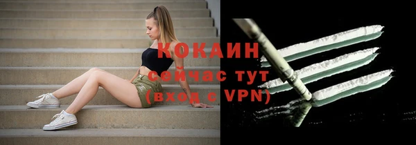 хмурый Осинники
