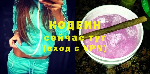 хмурый Осинники