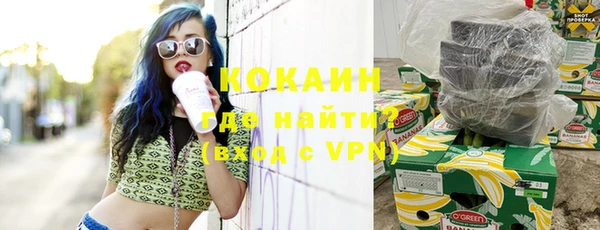 хмурый Осинники