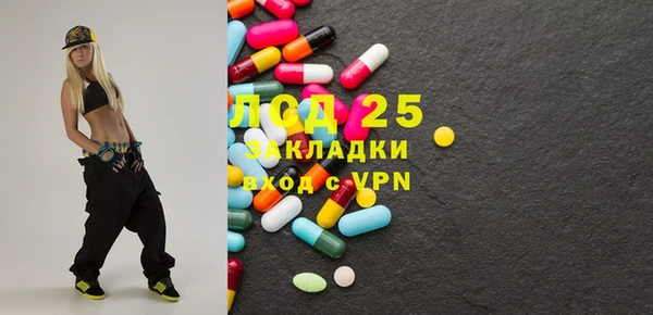 хмурый Осинники