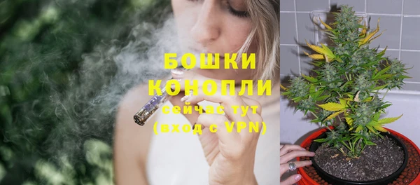 хмурый Осинники